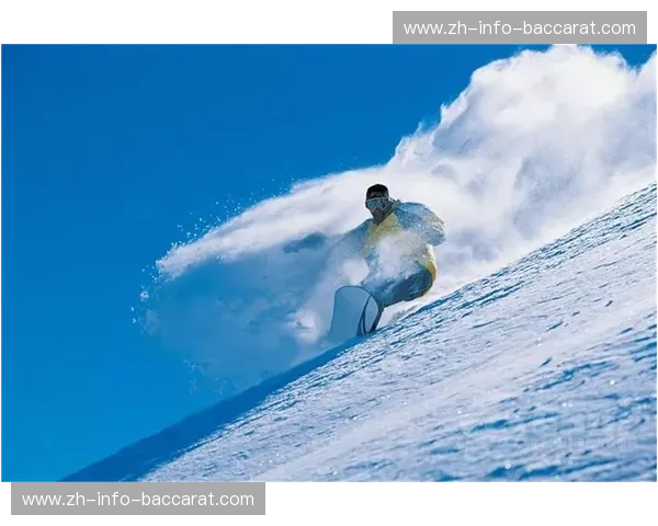 开云体育数据模式：引领体育数据革命，提升用户体验