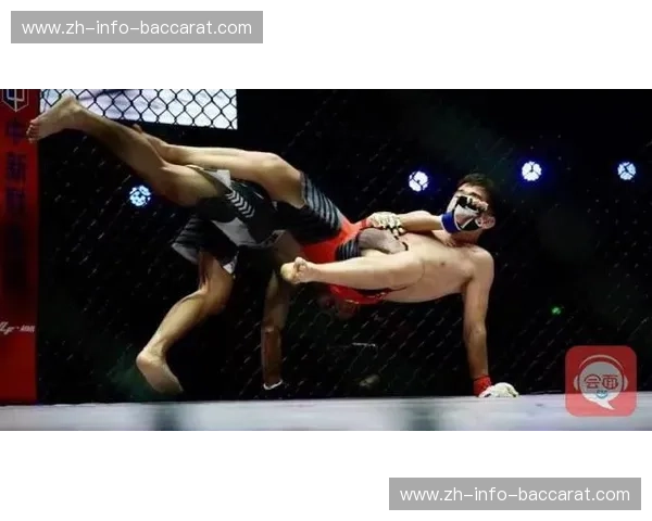 巅峰对决:少林禅武与泰拳钢骨,谁才是地表最强格斗图腾? 巅峰对决:少林禅武与泰拳钢骨,谁才是地表最强格斗图腾?